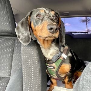 Meet your Posher, Kelli